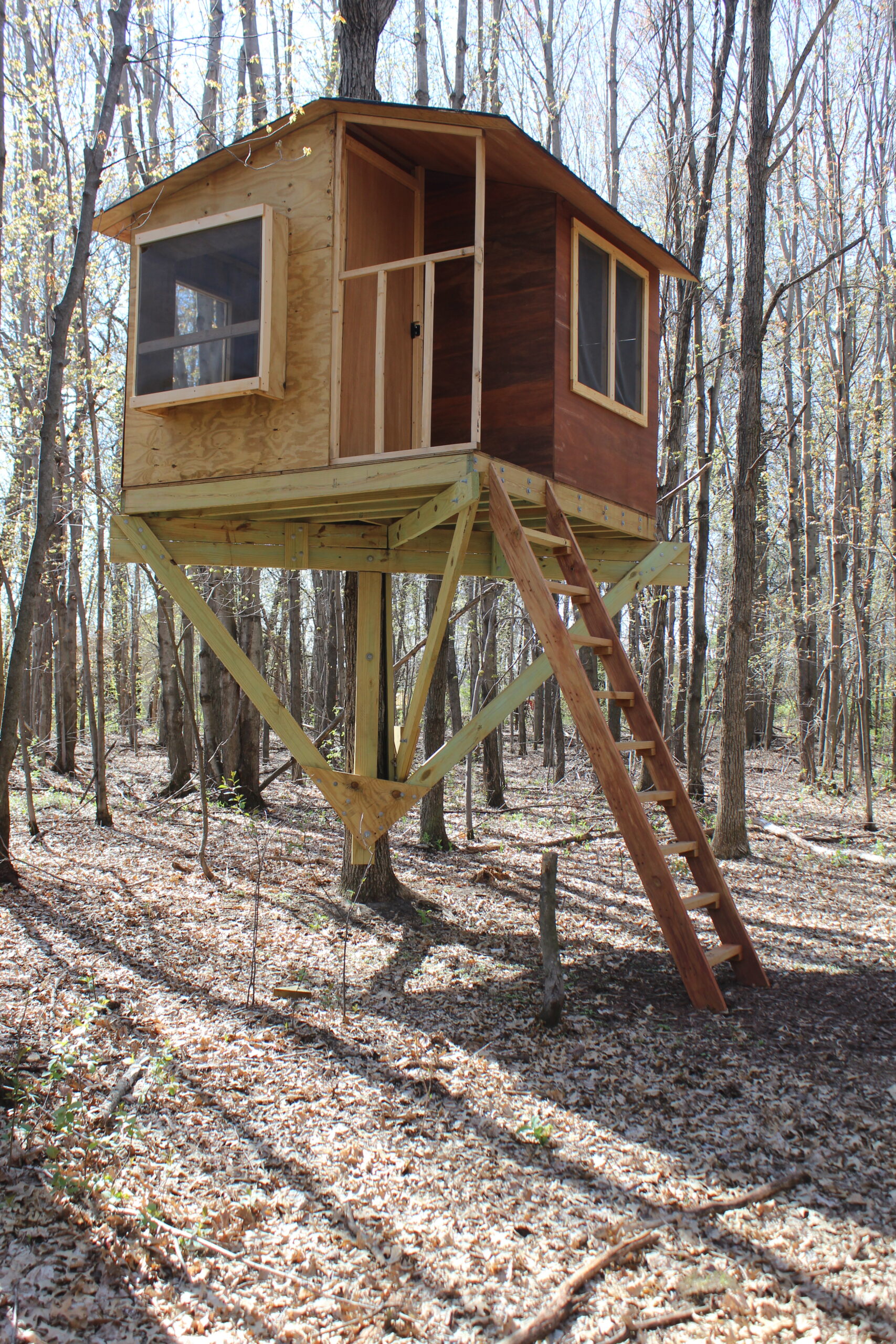 build-your-own-treehouse